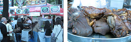 タイフェス