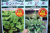 種