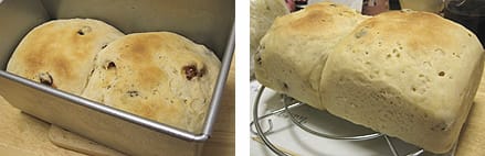 ぶどう酵母パン