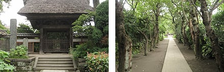 極楽寺
