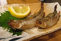 宗谷5