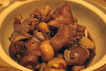 大地の木