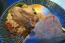 TAPiR14