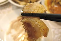 大地の木
