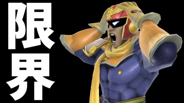 キャプテン ファルコン パート しょごさんの趣味ブログ