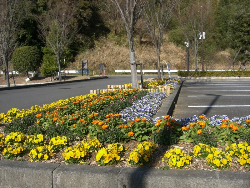 20100127102103