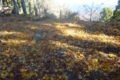 20121206111649