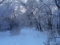 20160131195612