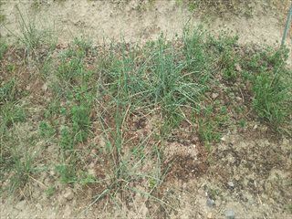 f:id:usiusi111:20200803161707j:plain f:id:usiusi111:20200803161707j:plain
