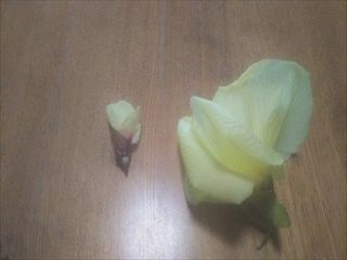f:id:usiusi111:20200901073518j:plain