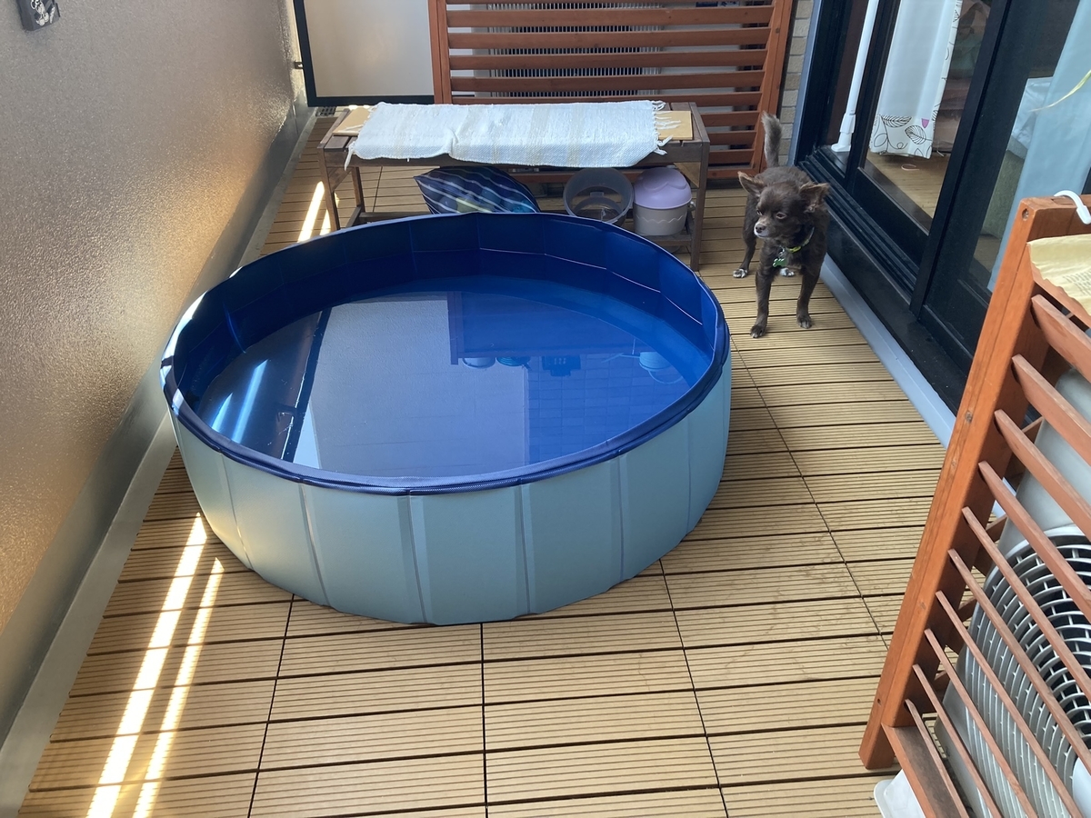 マンションのベランダ、キッズプールで夕涼み(プールの選び方) - campdog のファミリーキャンプ日記