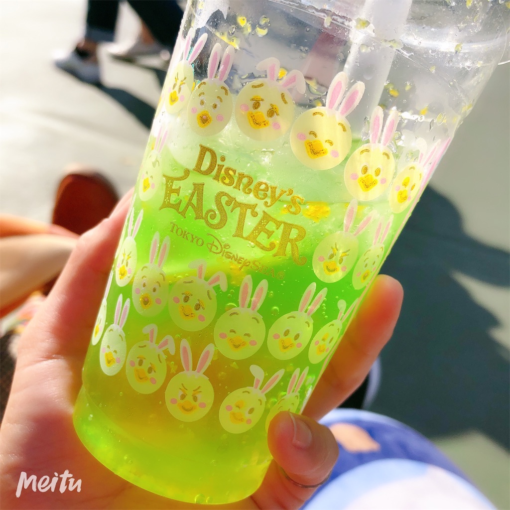 f:id:uso_kawa:20190607093206j:plain