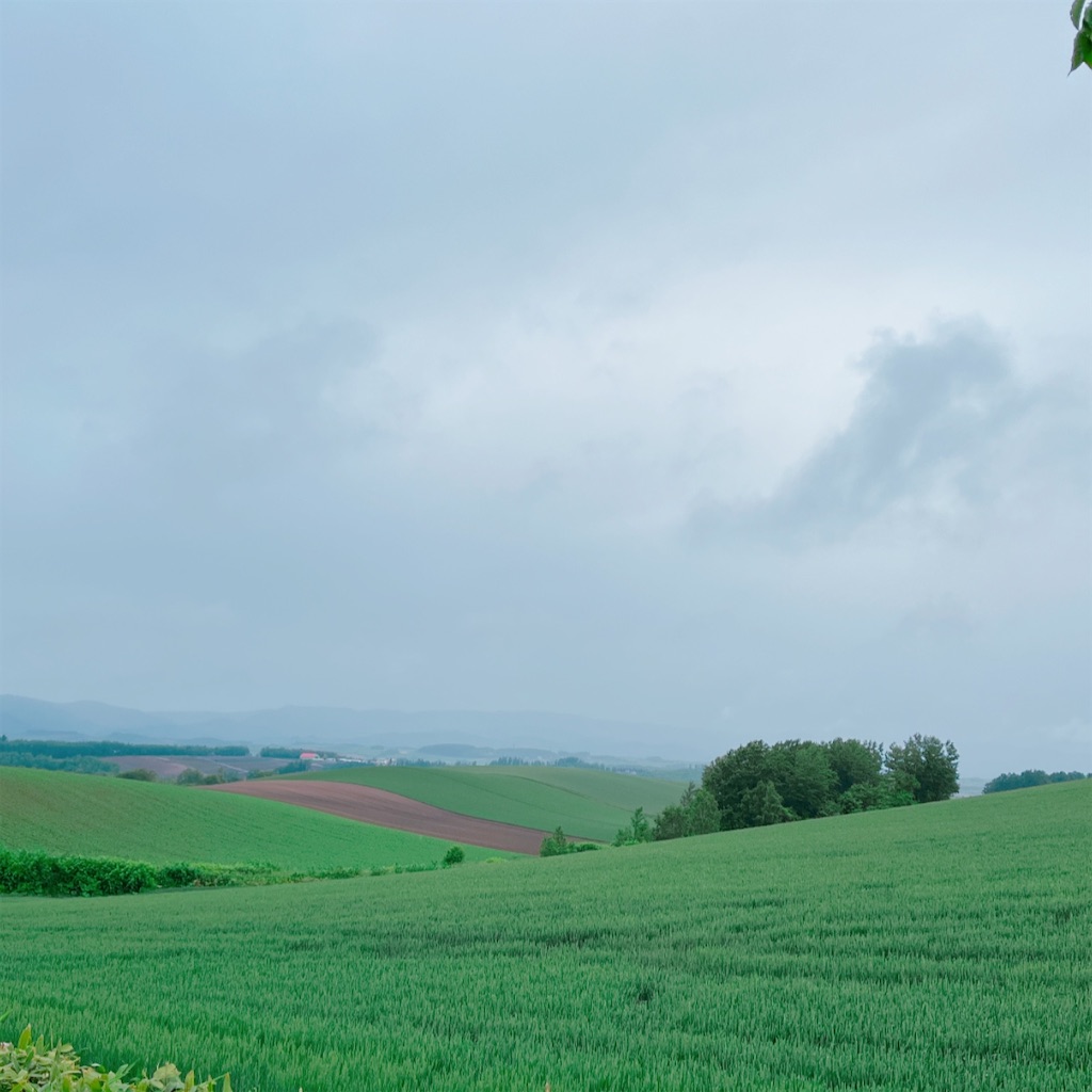 f:id:usotomishin:20220701103322j:image f:id:usotomishin:20220701103322j:image