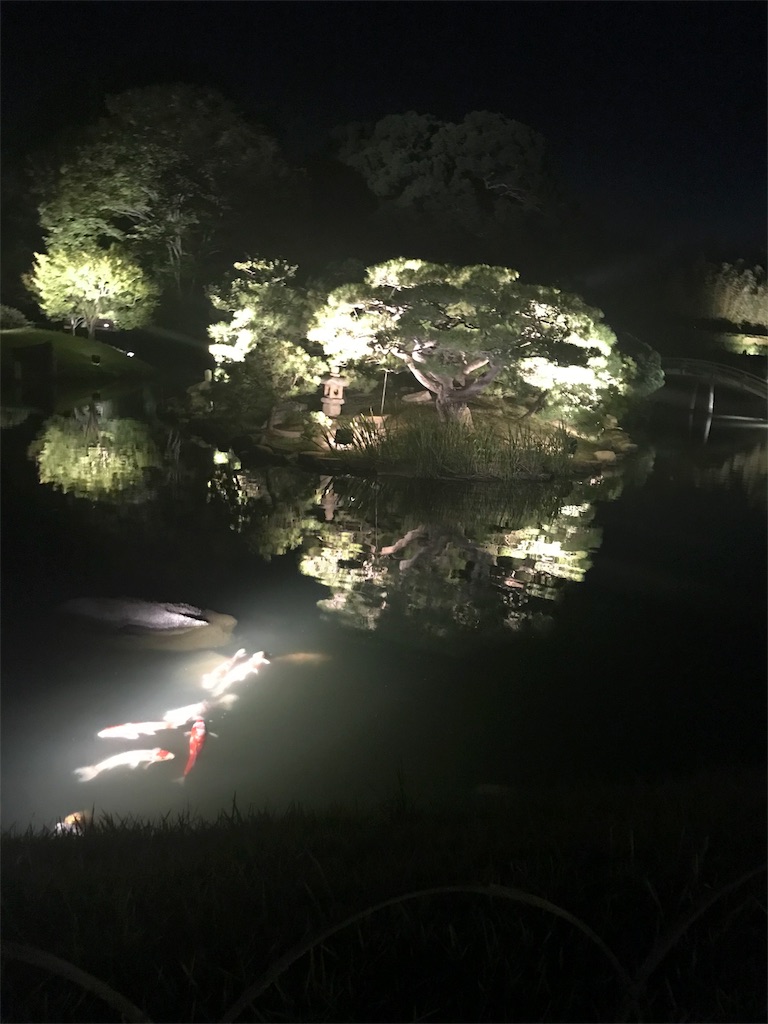 f:id:ust1600ust1600:20190827134838j:image f:id:ust1600ust1600:20190827134838j:image