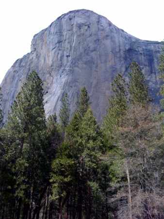 f:id:ustak:20100430144311j:image f:id:ustak:20100430144311j:image