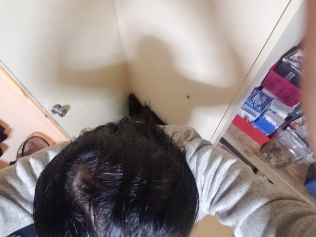 f:id:usugeman:20190113235020j:plain f:id:usugeman:20190113235020j:plain