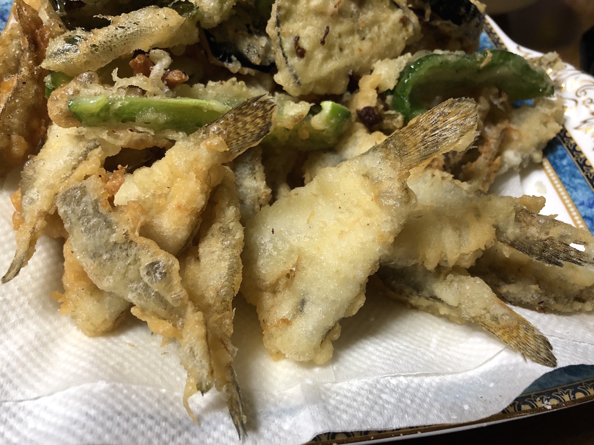 小樽でハゼ釣り 北海道 釣り好きお父さん になる予定 の日常