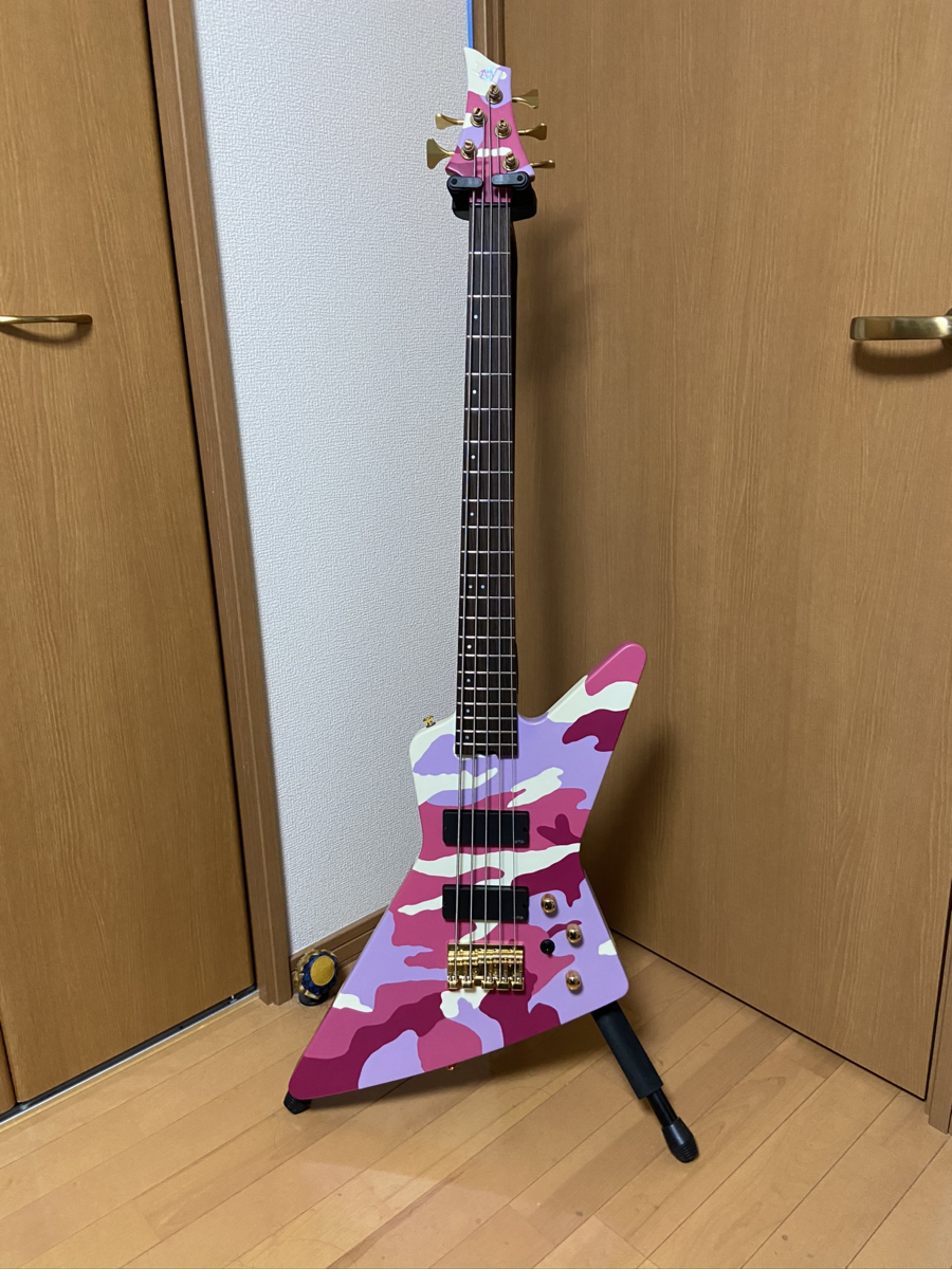SEEN エクスプローラーベース 青い5弦エクスプローラーベースを手に入れました。 - ものを書く