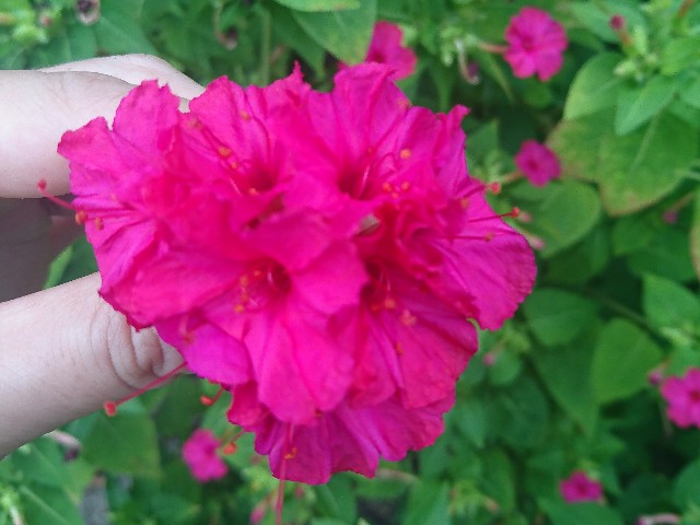 f:id:usuisuiu:20190830162730j:image f:id:usuisuiu:20190830162730j:image