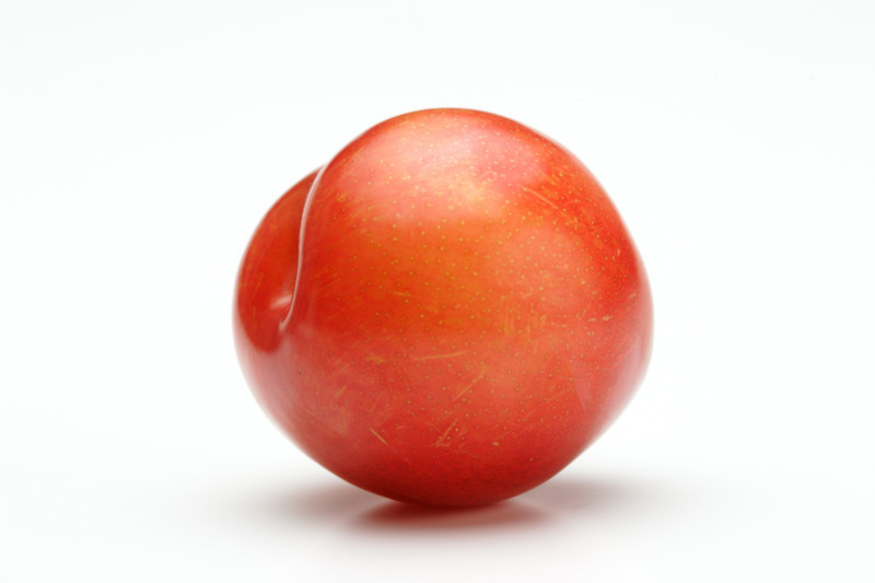 f:id:usukeimada:20171114114232j:image:w360