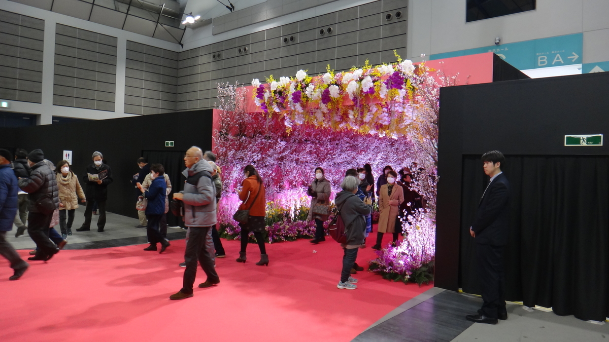 f:id:usukumori1805:20200412115356j:plain