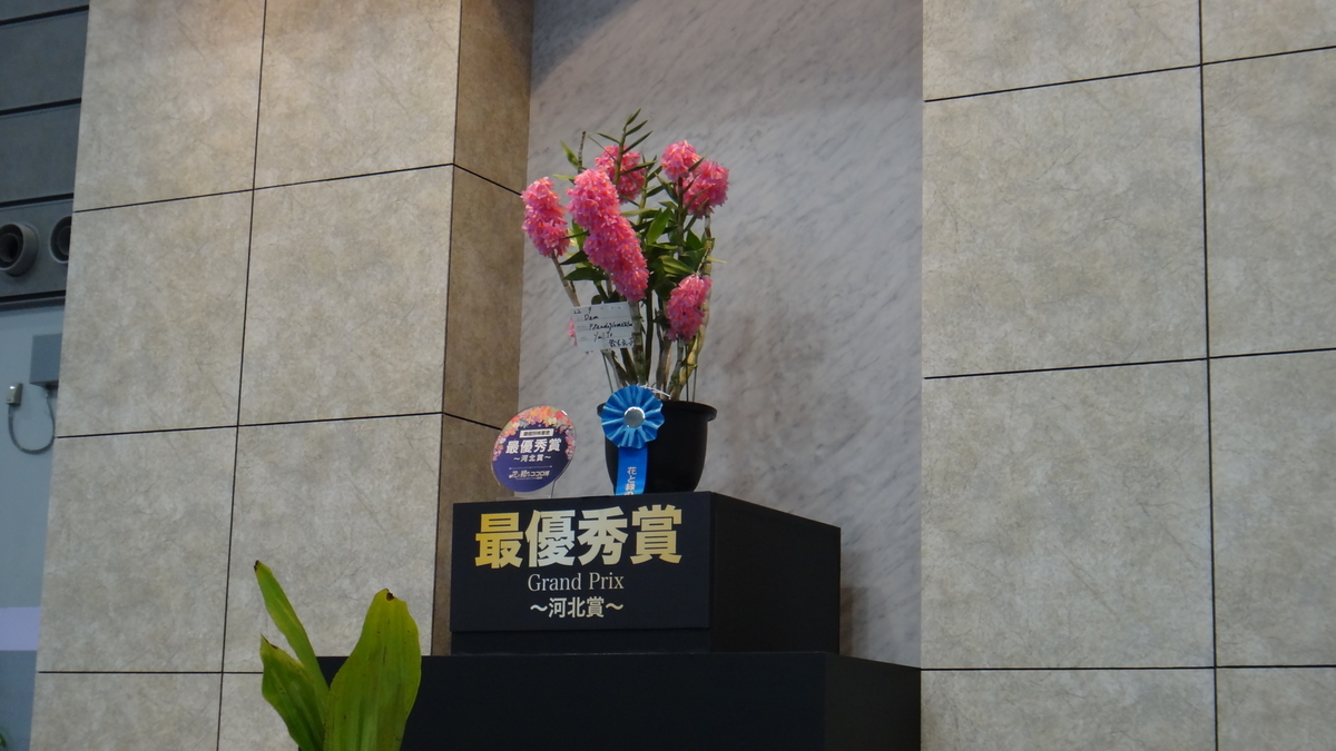 f:id:usukumori1805:20200412121800j:plain f:id:usukumori1805:20200412121800j:plain