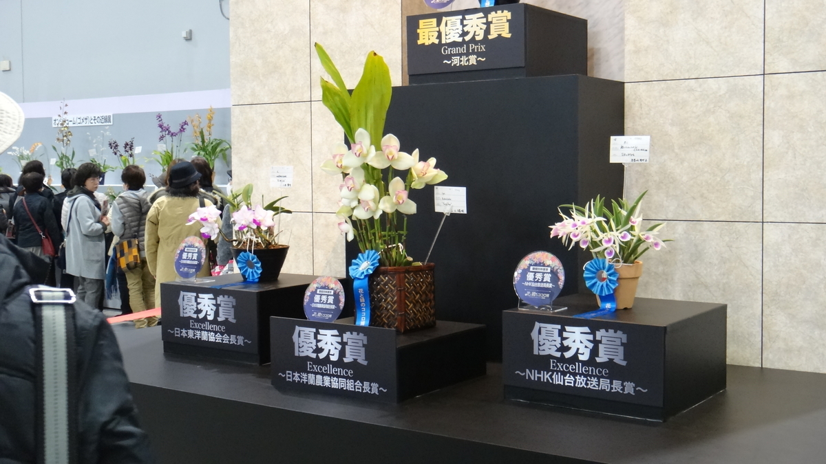 f:id:usukumori1805:20200412121832j:plain f:id:usukumori1805:20200412121832j:plain
