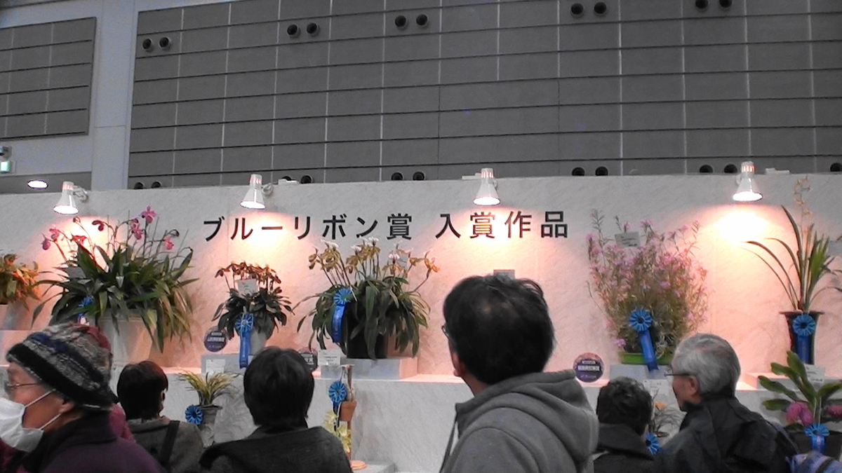 f:id:usukumori1805:20200412125225j:plain f:id:usukumori1805:20200412125225j:plain