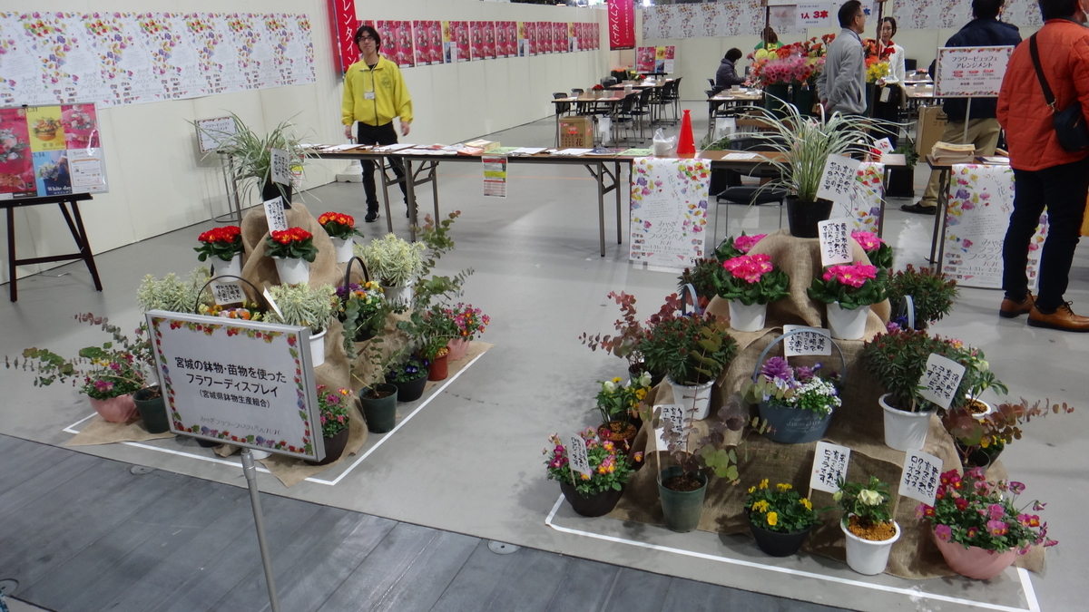 f:id:usukumori1805:20200412130250j:plain f:id:usukumori1805:20200412130250j:plain
