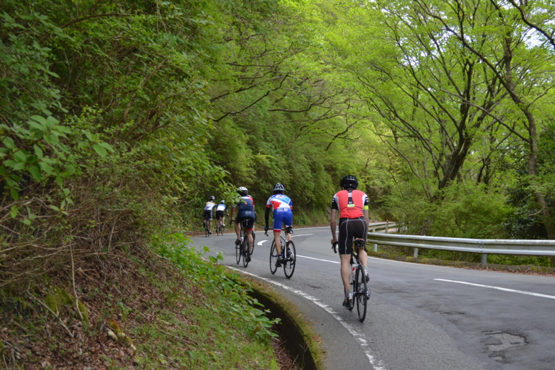 f:id:ut-br:20170504105535j:image