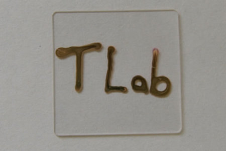 金文字T lab