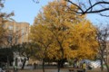 f:id:ut-tlounge:20131212152646j:image:medium