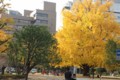 f:id:ut-tlounge:20131212152650j:image:medium