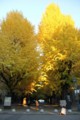 f:id:ut-tlounge:20131212153323j:image:medium