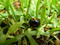 20090601085504