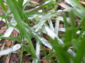 20090613110856