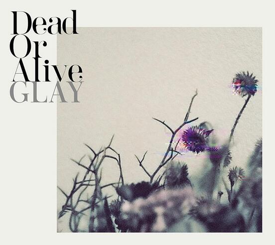 GLAY「Dead or Alive」歌詞意味の深層解釈：TAKUROが描く『終末の