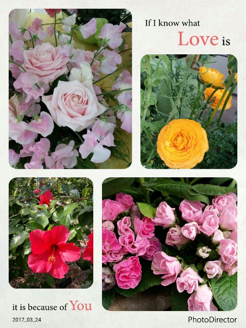 f:id:uta78wallflower:20170324233027j:image f:id:uta78wallflower:20170324233027j:image