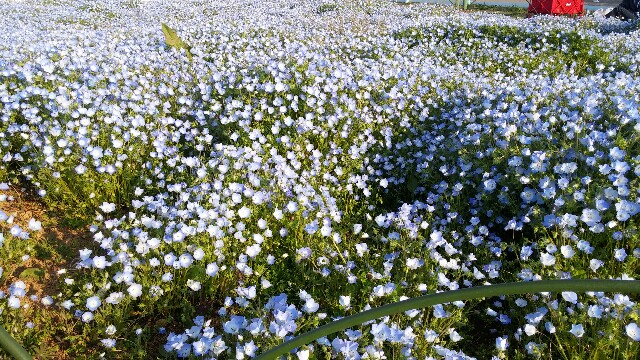 f:id:uta78wallflower:20170424123307j:image f:id:uta78wallflower:20170424123307j:image