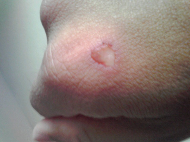 f:id:uta_stream:20180805141156j:plain