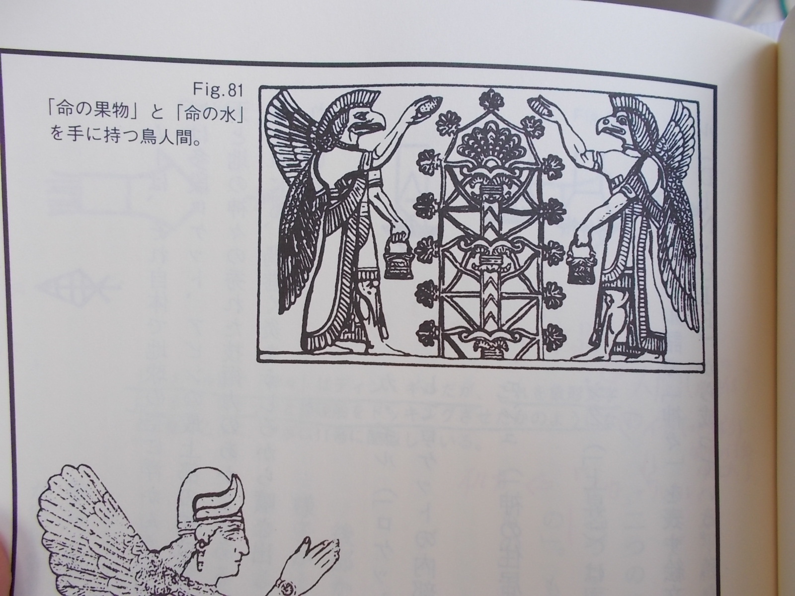 f:id:uta_stream:20200822133902j:plain