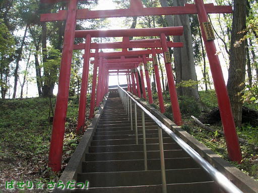 イメージ 1