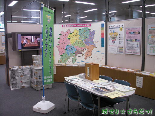 イメージ 6