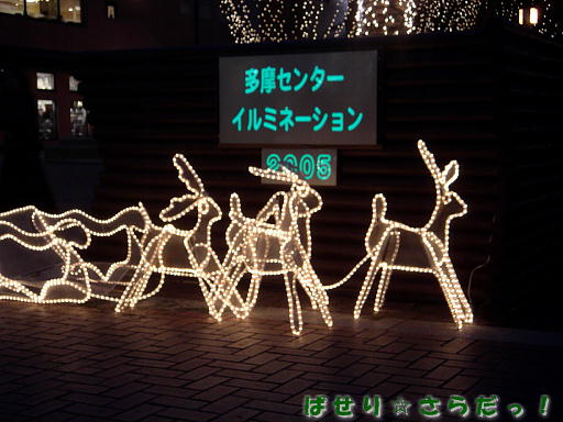 イメージ 6