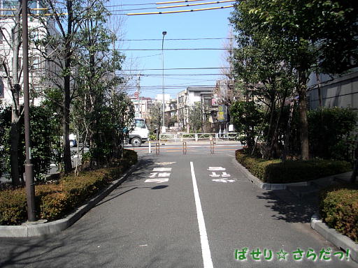 イメージ 2