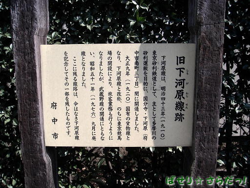 イメージ 6