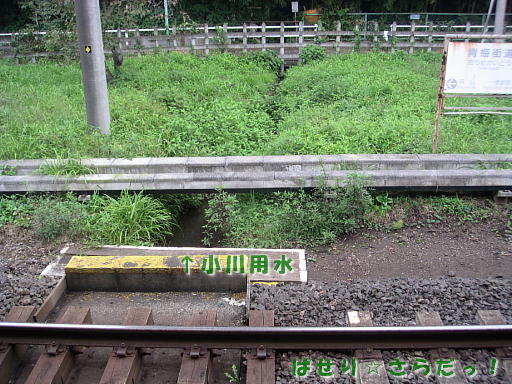 イメージ 4