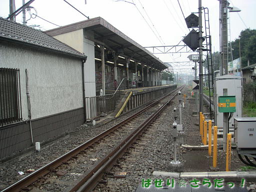 イメージ 5