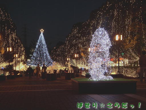 イメージ 2