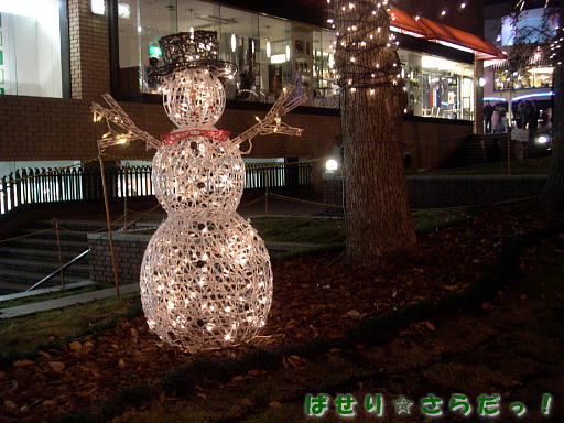 イメージ 5